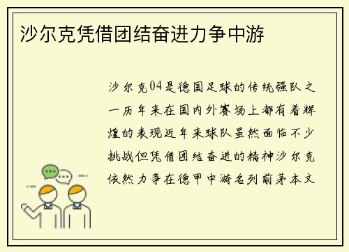 沙尔克凭借团结奋进力争中游